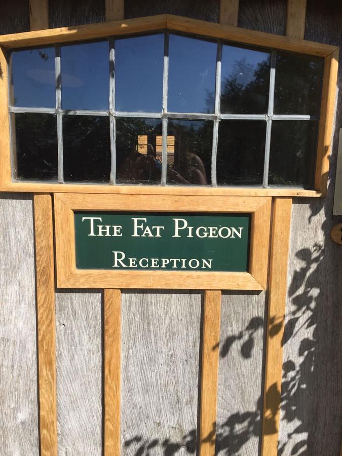Гостевой дом The Fat Pigeon Йеавил Экстерьер фото